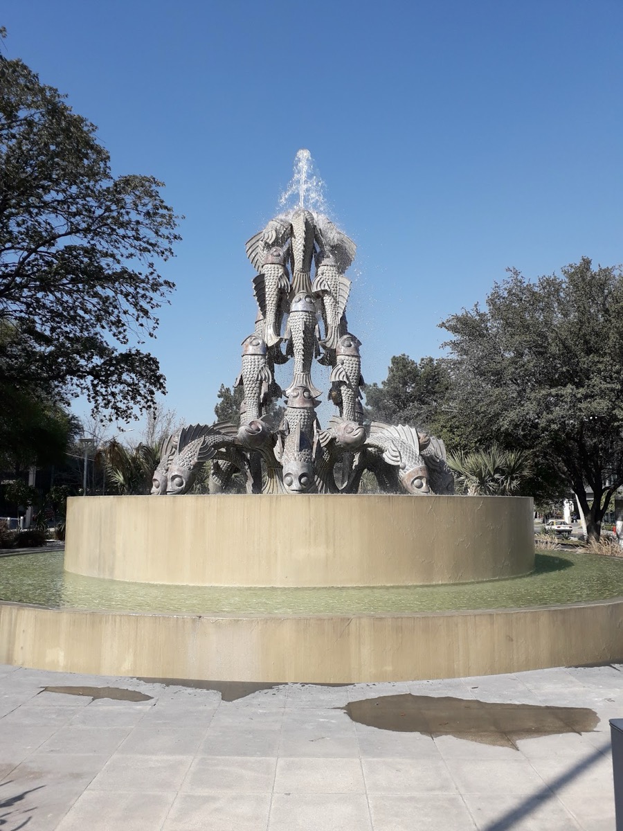 Colonia Del Valle, San Pedro