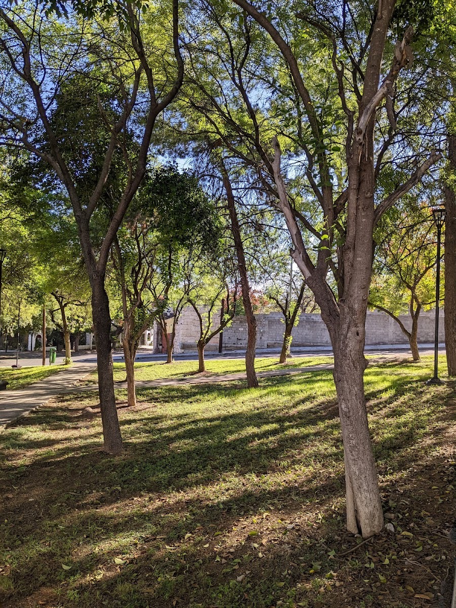 Lomas del Valle, San Pedro