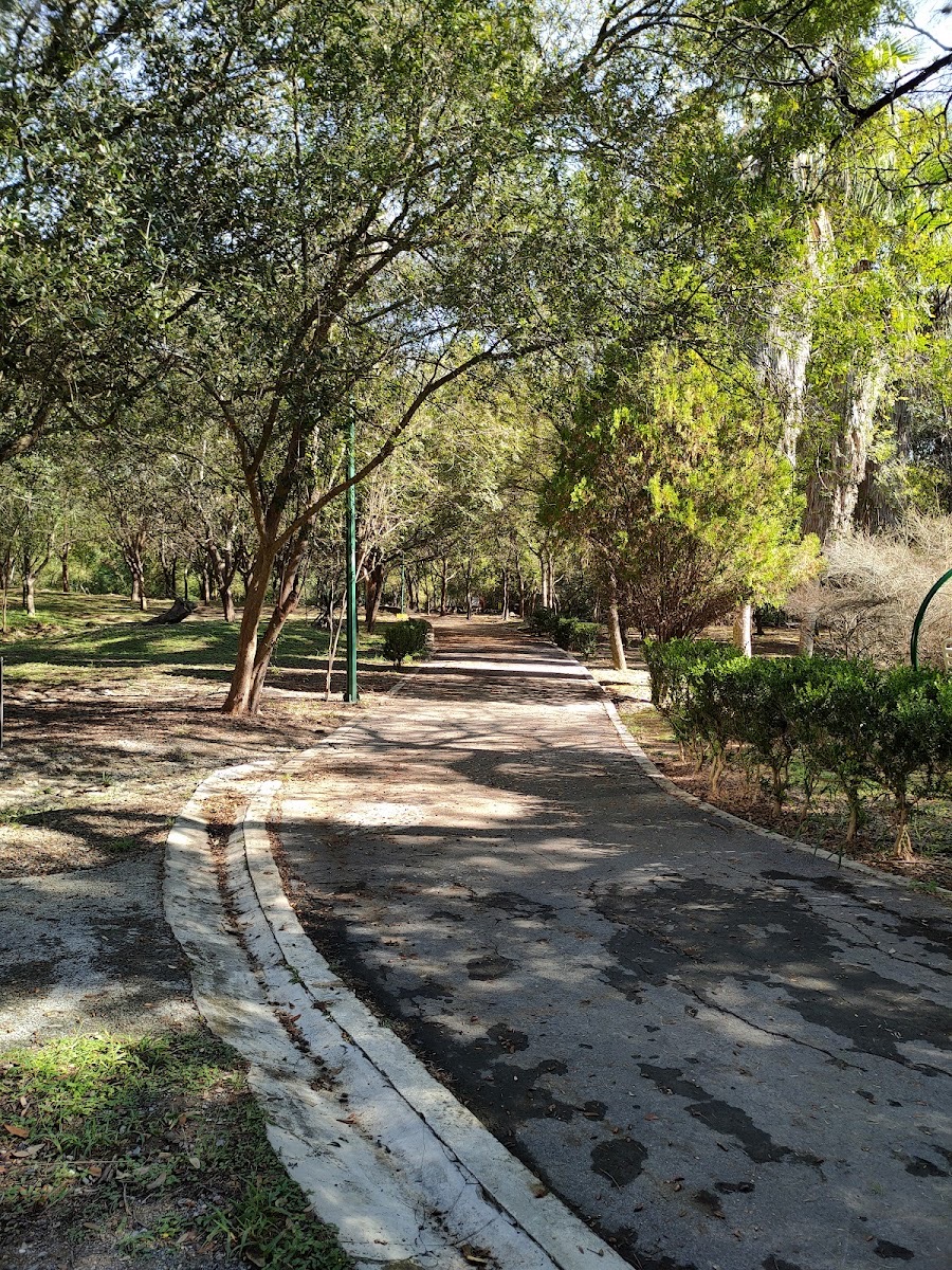 Sierra Alta, San Pedro